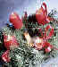 advent