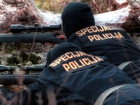 Primorsko-goranska policija spremna ubijati alohtonu divlja�, ako   baš ništa drugo ne uspije * N. REBERŠAK